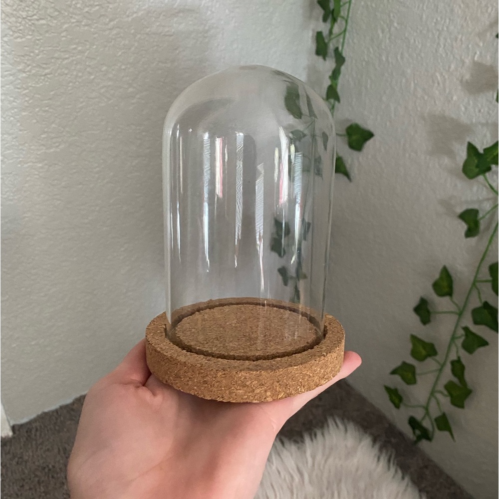 Glass Display Dome
